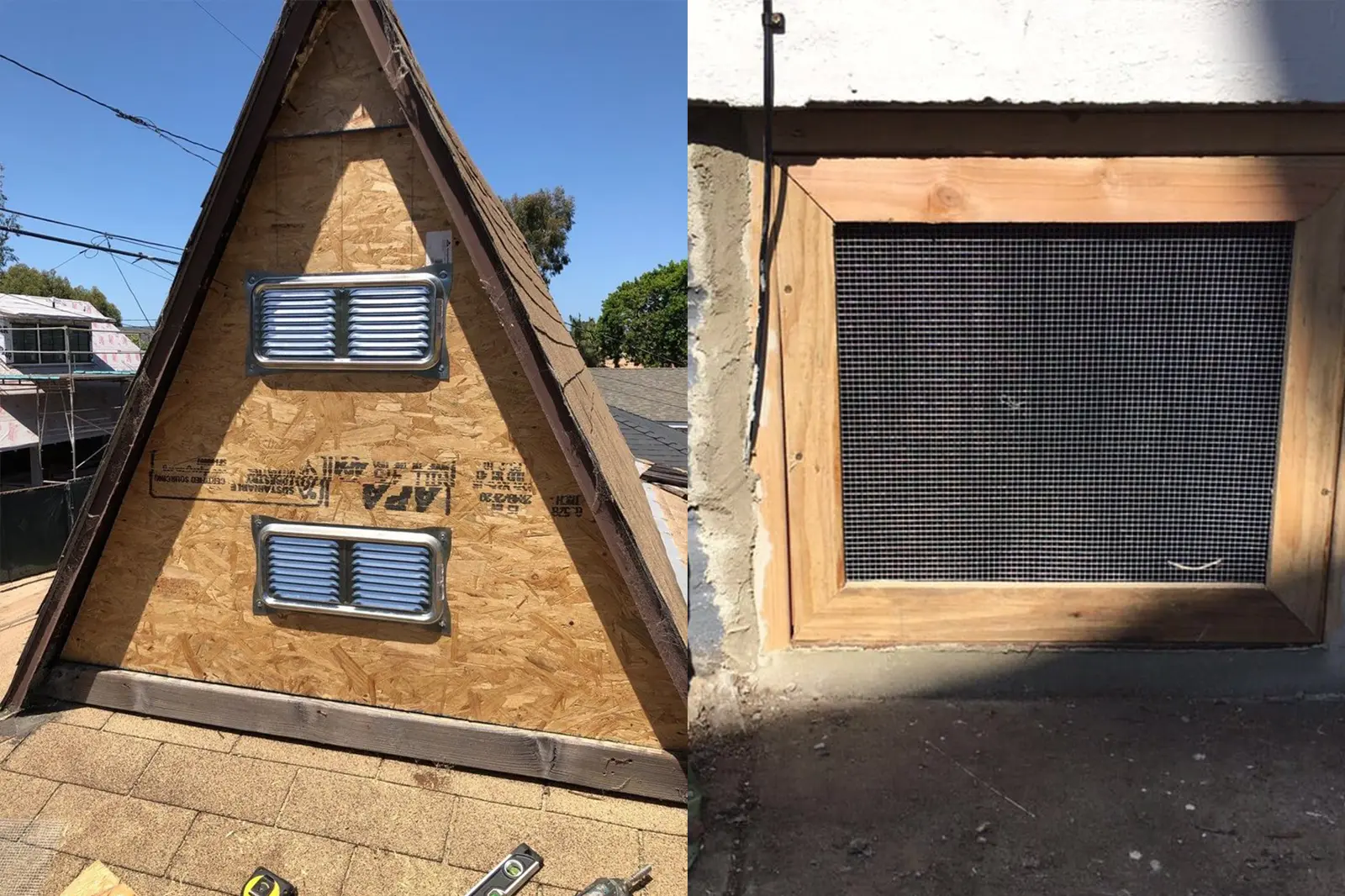 residential Rodent Proofing